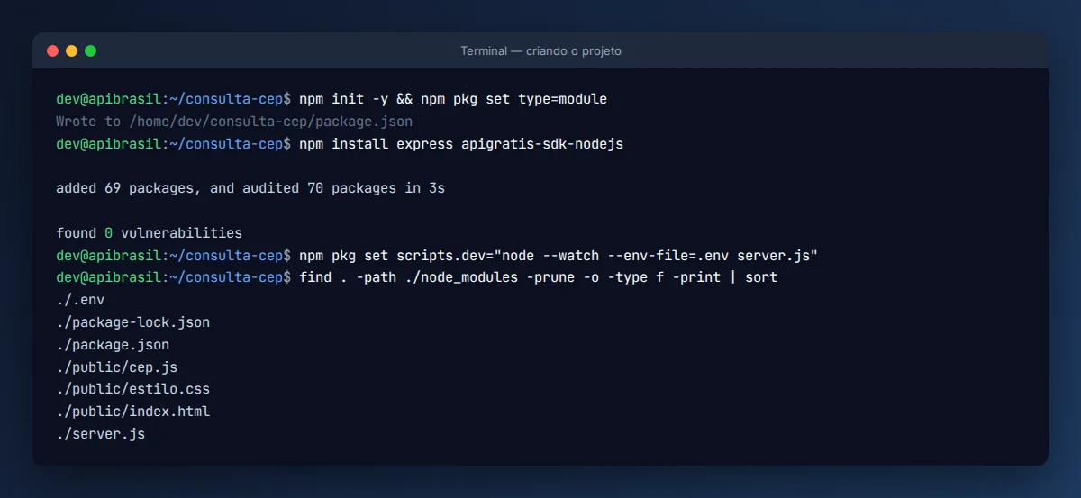 Terminal criando o projeto para consultar CEP com JavaScript e instalando a SDK