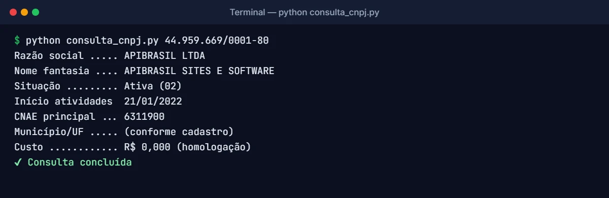 Saída do script Python mostrando razão social, situação cadastral e CNAE do CNPJ consultado