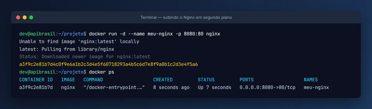 Comando docker run do Nginx seguido de docker ps