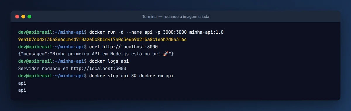 Container da API rodando, respondendo ao curl e exibindo logs