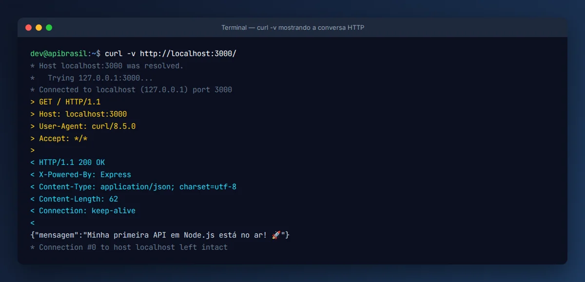 Saída do curl -v mostrando requisição e resposta HTTP completas